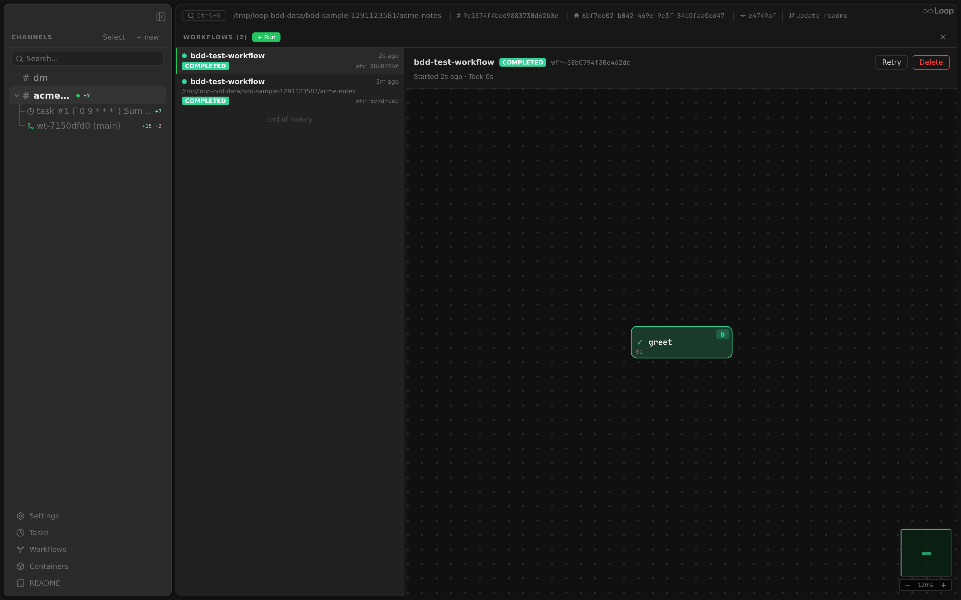 The global Workflows panel showing the run list and detail view